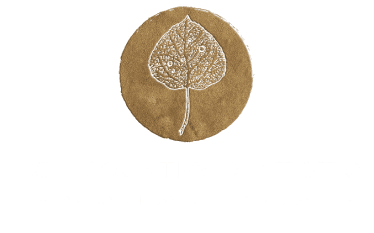 Dr Jonathan Bishop