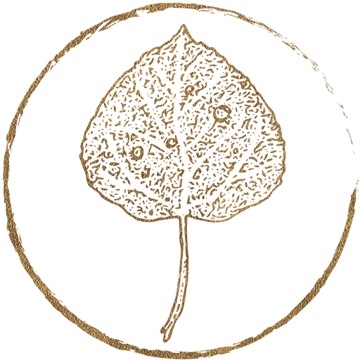 High Country Dentistry steamboat springs logo